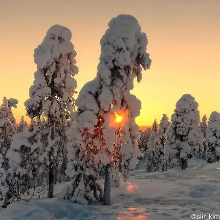 A Cozy Scandinavian In The Center Rovaniemi